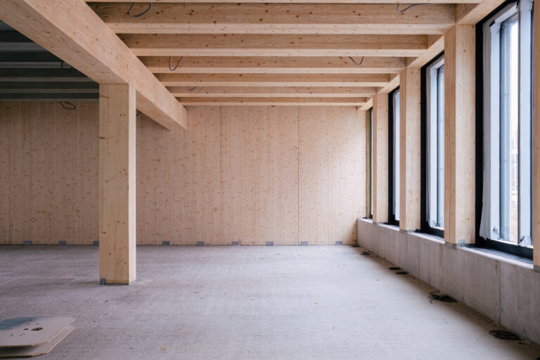 Holz ist ein natürlicher, klimafreundlicher Baustoff und bei nachhaltigen Bauen sehr beliebt.